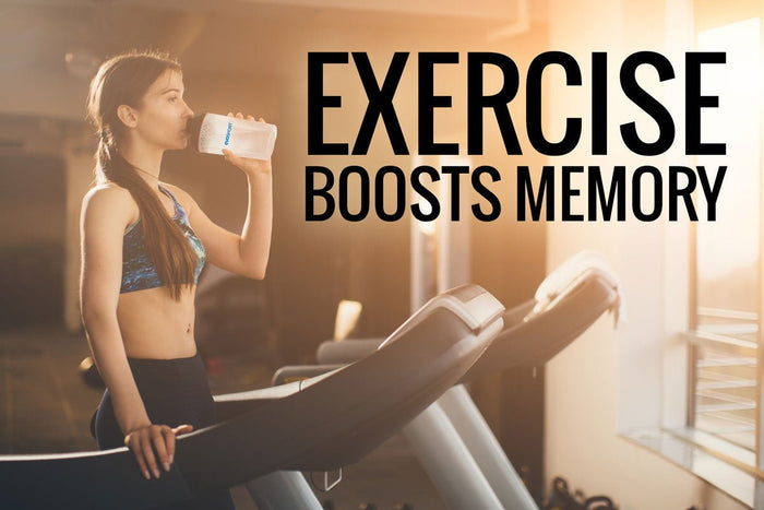 L'esercizio aumenta la memoria a lungo termine