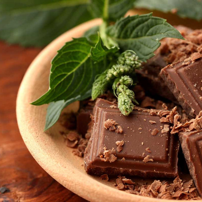 Drink wine and eat chocolate to lose weight with the Sirtfood diet