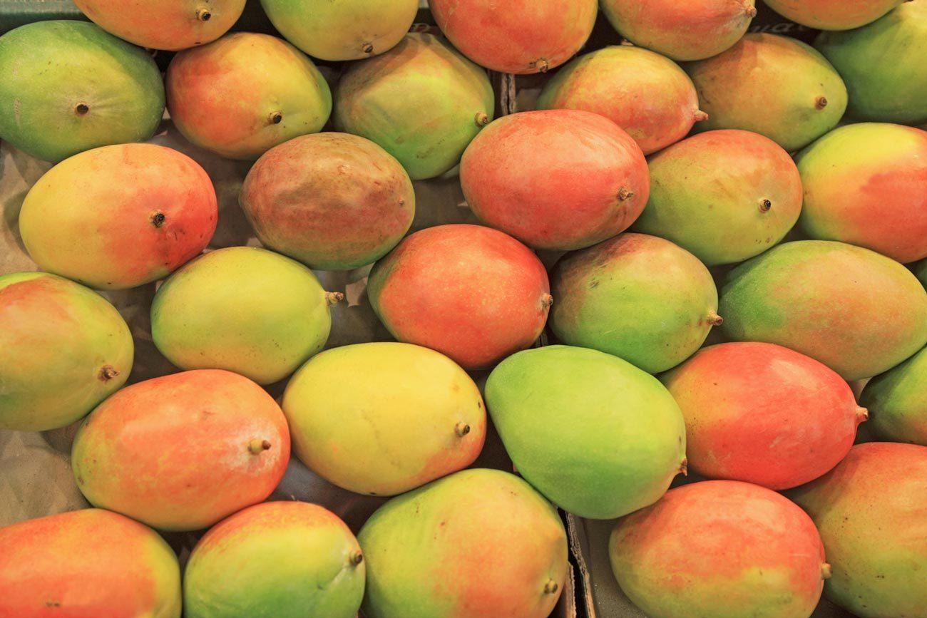 African Mango - Evolution Slimming