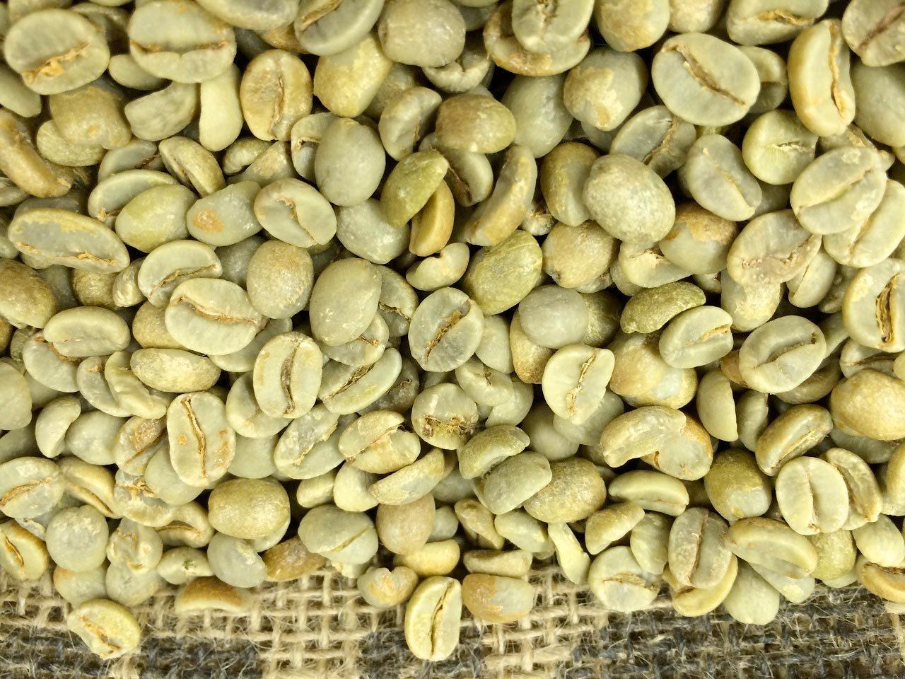 Green Coffee Supplements - Evolution Slimming