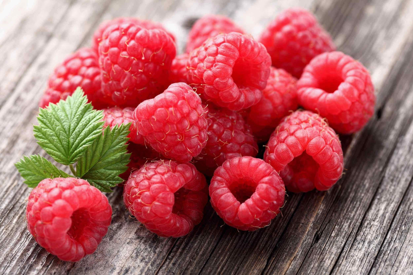 Raspberry Ketone Plus