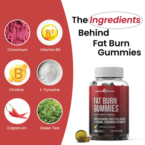 Key ingredients in Fat Burn Gummies