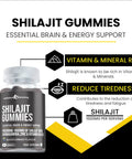 Shilajit Gummies benefits for energy and the nervous system